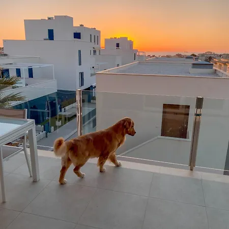 Hola Blanca - Sea, Golf, Chill Appartement Dehesa de Campoamor  Buitenkant foto